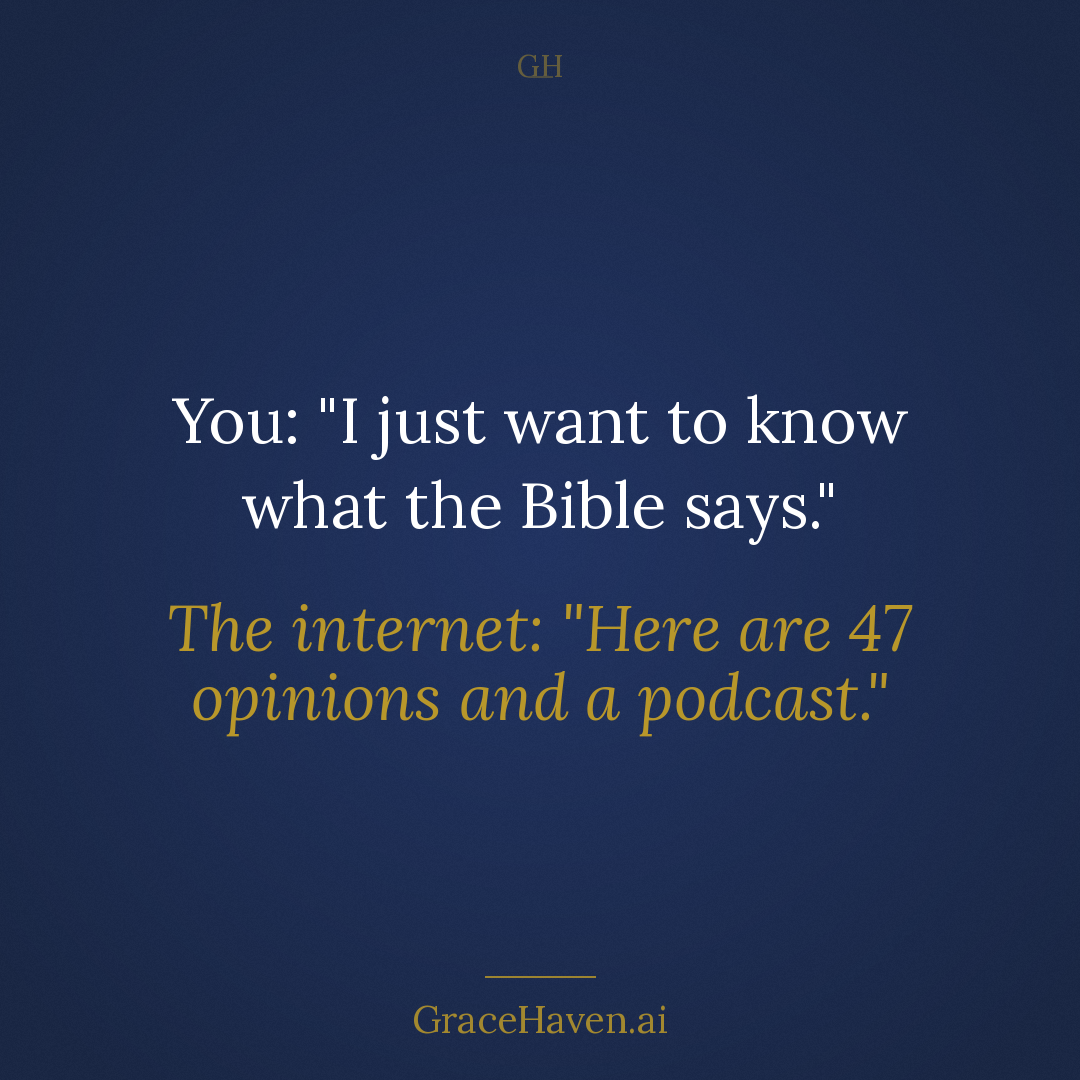 Meme — 47 Opinions and a Podcast