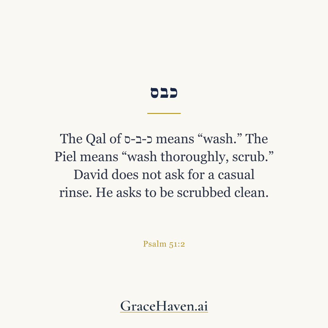 Biblical Hebrew — כבס