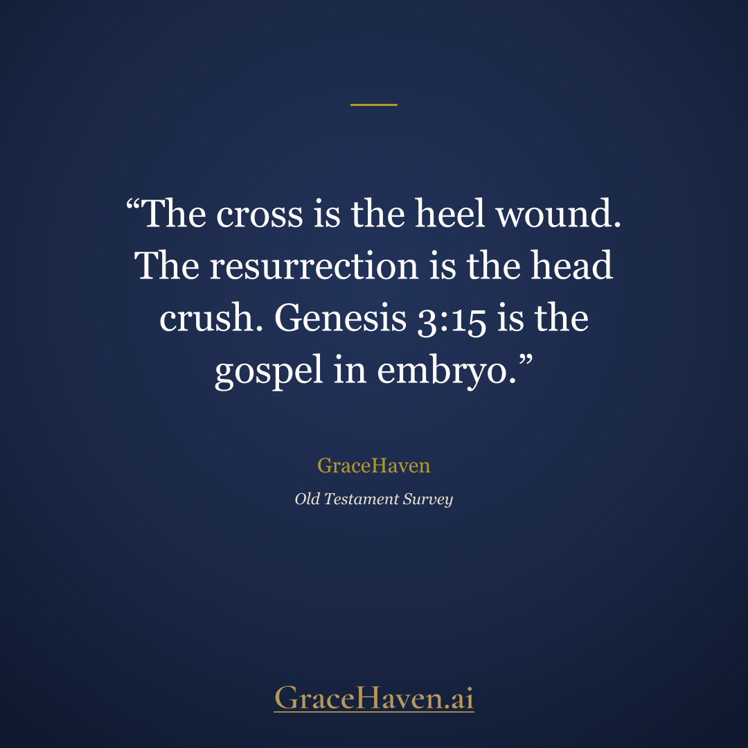 GraceHaven — Old Testament Survey